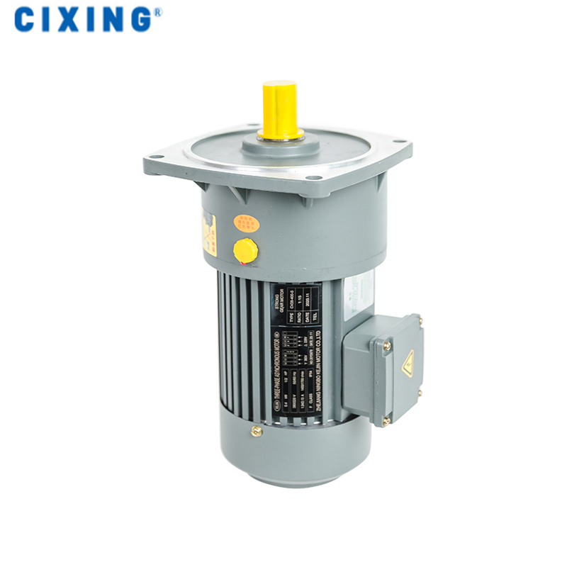 齒輪減速電機(jī)