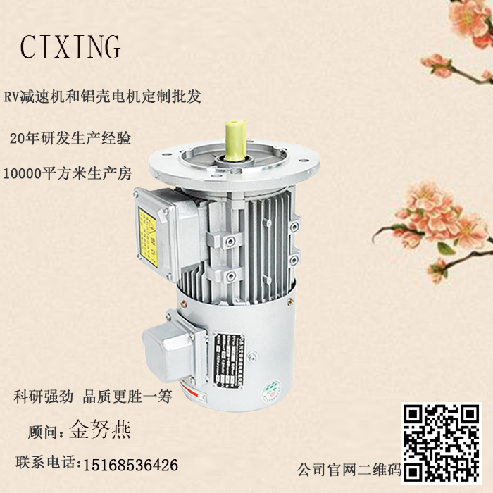 變頻電機(jī) 變頻電機(jī)